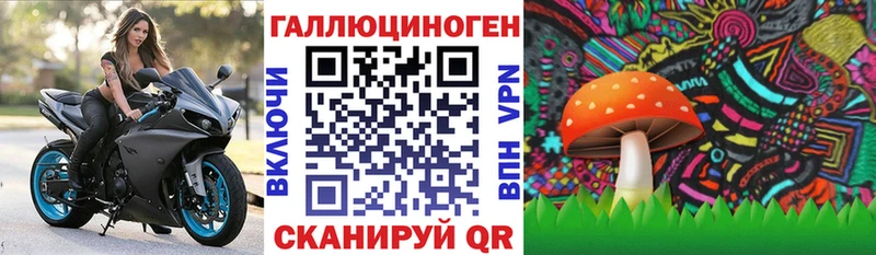 Купить где  Игарка  Галлюциногенные грибы прущие грибы 